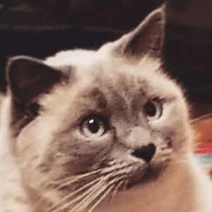 Meet your Posher, Rita